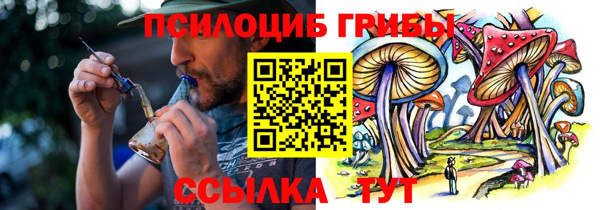 Галлюциногенные грибы Cubensis  Вход с VPN  Томск  Псилоцибиновые грибы прущие грибы 